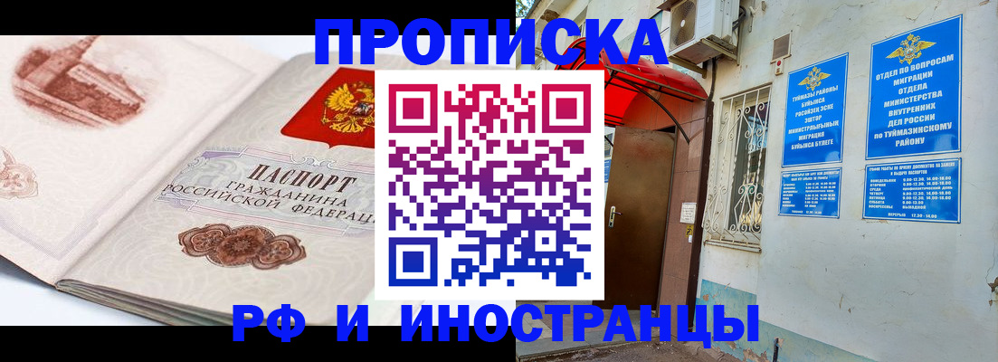 прописка законно в Кингисеппе